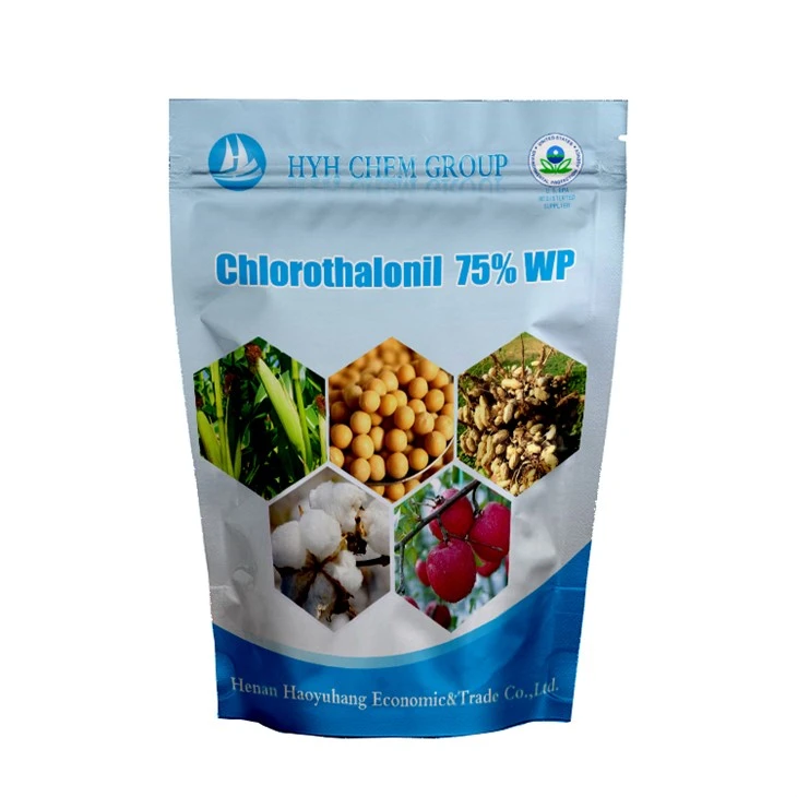 Chlorothalonil 75% WP ｜ Cây diệt nấm bảo vệ phổ rộng ｜ dưa chuột Downy kiểm soát nấm mốc