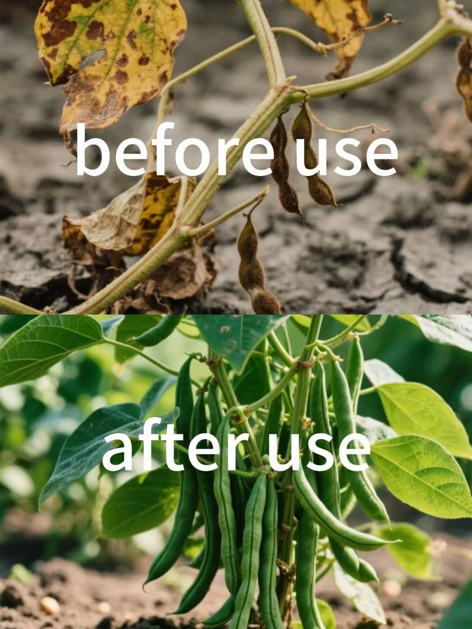 Efficient Pest Killing Spinosad,92%TC,10%SP,5%SP CAS No. 131929 - 60 - 7 For Cabbage And Cowpea. best