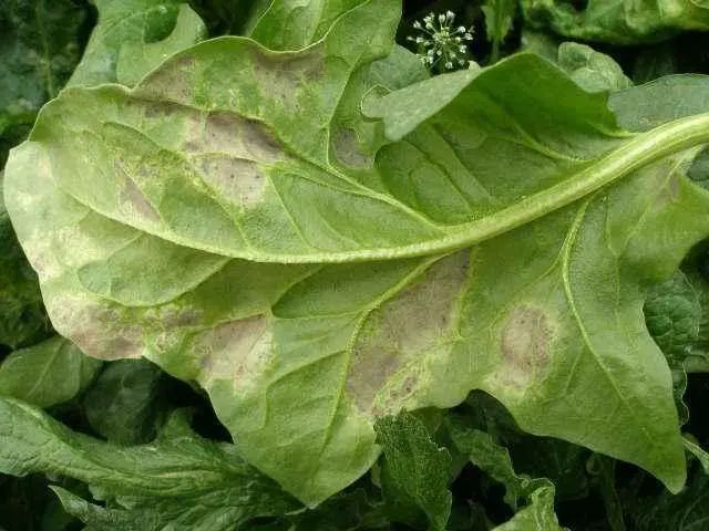 image001 image001