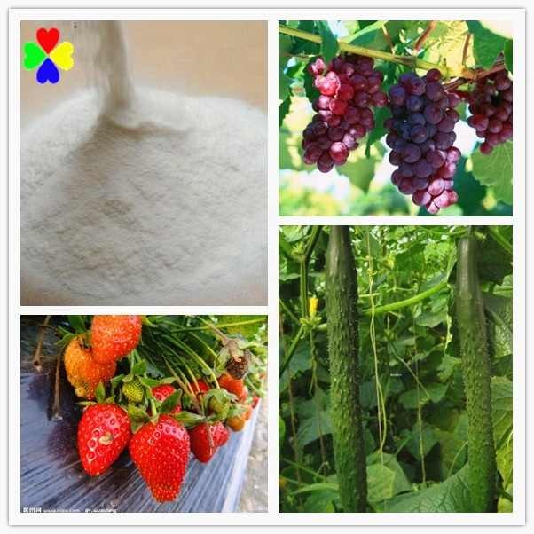 Plant Growth Regulator Brassinolide 95%TC Powder Brassinolide