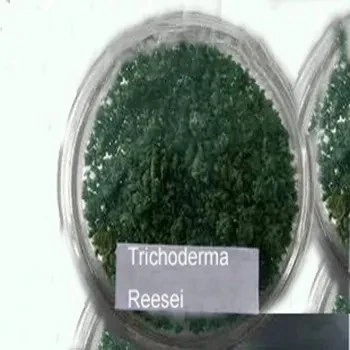 TrichodermTrichoderma Reesei 2 Billion CFU/g For Cellulose Degradationa